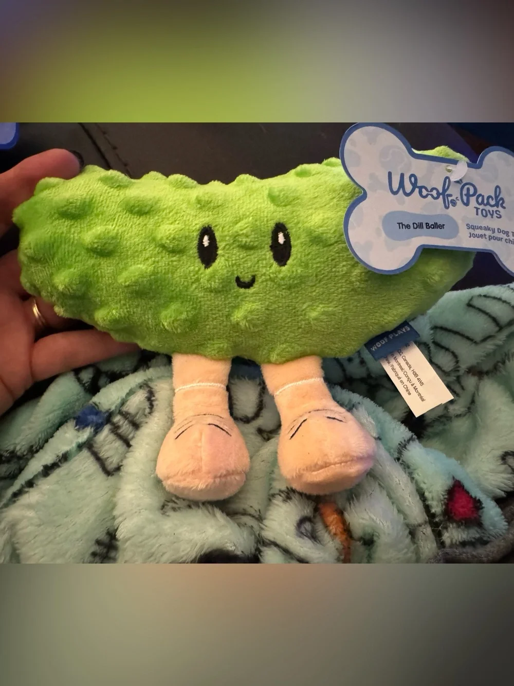 WOOF Pack like BARK Box Large PICKLE BALL Dog toy set NEW Killadinks paddle L